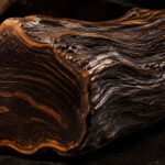 Alogum Wood in 2026: Complete Guide to History, Meaning, Uses